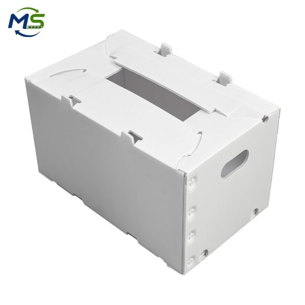 1 Ventilation Design PP Fruit Corrugated Box Anti-Damage for Fresh Seasonal Fruit Shipping