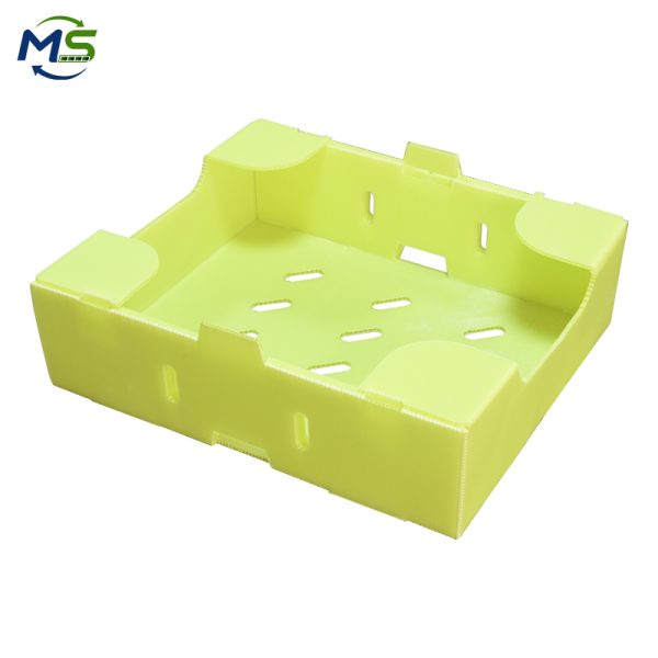 1 Durable PP Produce Crate Waterproof Packaging for Retail Fresh Vegetable Delivery
