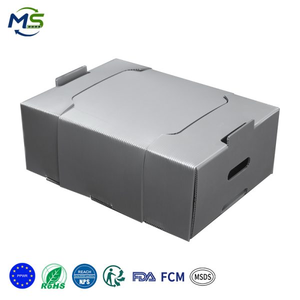 1 拷贝 FCM Food Grade PP Corrugated Fruit Container High Toughness for Tropical Fruit Export Packaging
