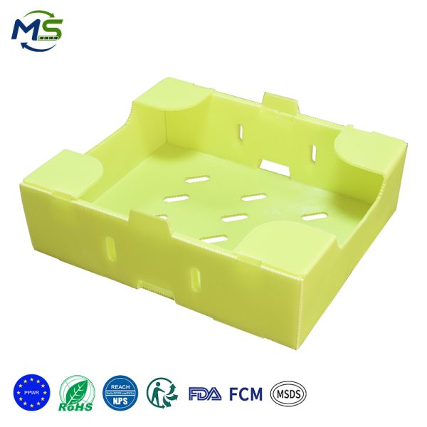 1 拷贝 Durable PP Produce Crate Waterproof Packaging for Retail Fresh Vegetable Delivery