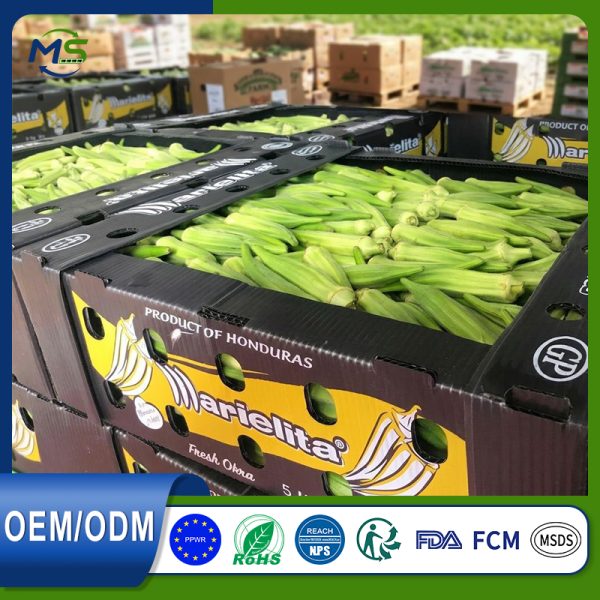 12 Breathable PP Hollow Board Vegetable Circulation Box Black Corrugated Plastic Crate for Farm to Market Fresh Veggie Transport