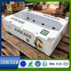 15 FCM Certified PP Corrugated Fruit Turnover Box Waterproof Shockproof For Vegetable Fruit Storage Transport