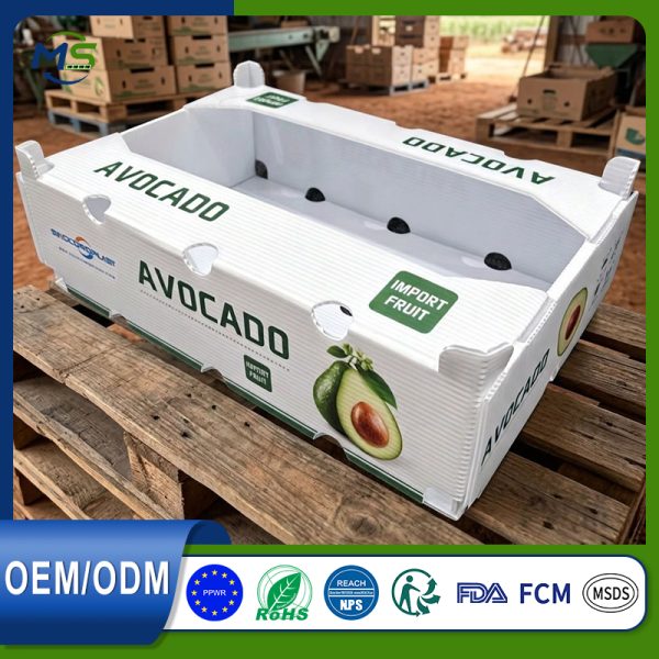 15 FCM Certified PP Corrugated Fruit Turnover Box Waterproof Shockproof For Vegetable Fruit Storage Transport