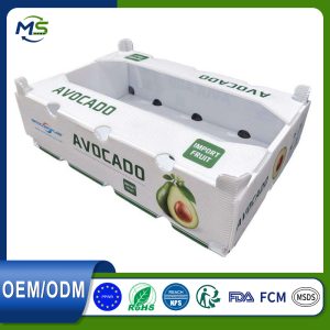 16 FCM Certified PP Corrugated Fruit Turnover Box Waterproof Shockproof For Vegetable Fruit Storage Transport