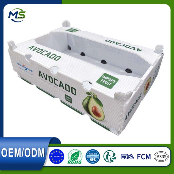 16 FCM Certified PP Corrugated Fruit Turnover Box Waterproof Shockproof For Vegetable Fruit Storage Transport