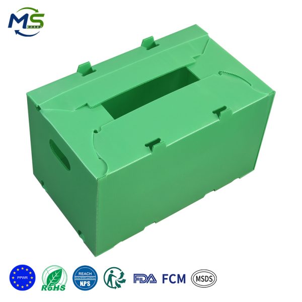 2 拷贝 Ventilation Design PP Fruit Corrugated Box Anti-Damage for Fresh Seasonal Fruit Shipping