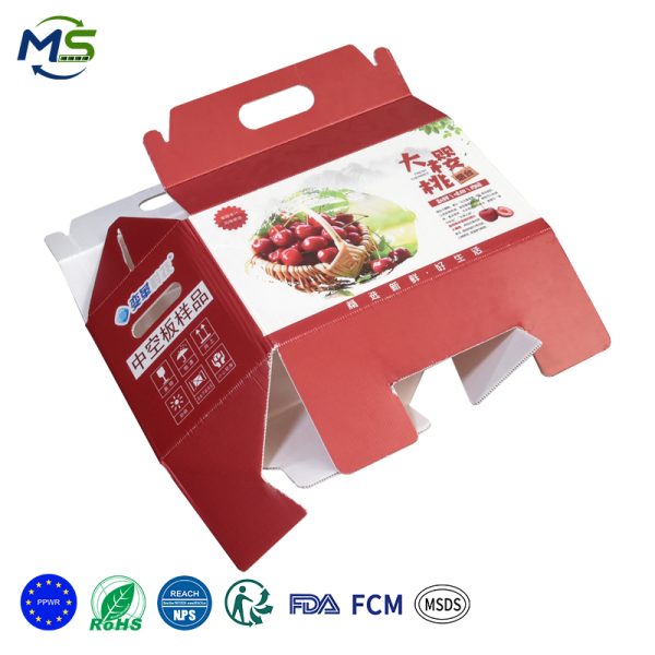 2 拷贝 Eco Reusable Corflute Fruit Carry Box With Handle Waterproof PP Hollow Sheet Cherry Gift Packaging Carton