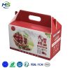 3 拷贝 Eco Reusable Corflute Fruit Carry Box With Handle Waterproof PP Hollow Sheet Cherry Gift Packaging Carton