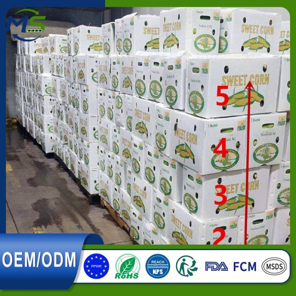 8 FCM Certified PP Corrugated Fruit Turnover Box Waterproof Shockproof For Vegetable Fruit Storage Transport