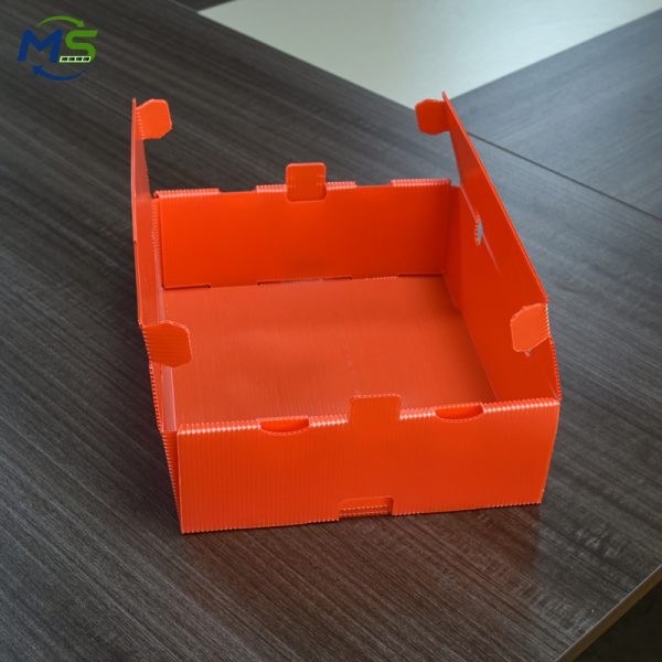 DSC_9429 Stackable PP Fruit Turnover Box Lightweight Portable For Farm Fresh Fruit Sorting And Delivery