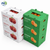 ChatGPT Image 2026年6月23日 16_56_12 Reusable PP Corrugated Plastic Strawberry Crate Waterproof Stackable Harvest Box for Farm Picking and Cold Chain Transport