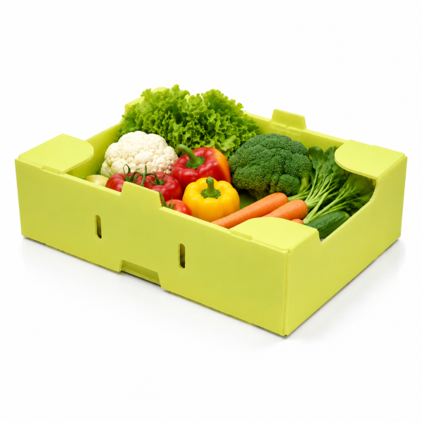 PP Corrugated Plastic Meat Crate Food Grade Waterproof Storage Box for Beef Processing and Cold Chain Transport