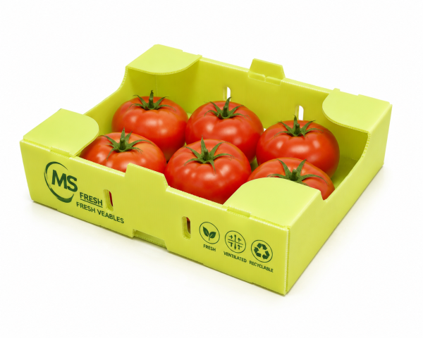 ChatGPT Image 2026年6月25日 10_31_09 Eco Friendly Polypropylene Corrugated Harvest Box Lightweight Packaging Container for Berry Growers and Produce Markets