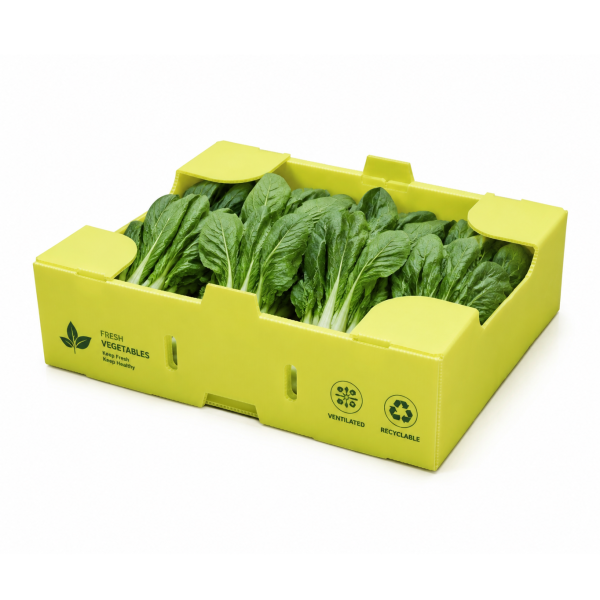 ChatGPT Image 2026年6月25日 10_41_39 Eco Friendly Polypropylene Corrugated Harvest Box Lightweight Packaging Container for Berry Growers and Produce Markets