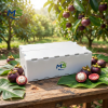 PP Corrugated Fruit & Veg Box (6) Breathable Food Grade PP Plastic Mango Turnover Box, Corrugated Plastic Crate for Fresh Fruit Farm Logistics