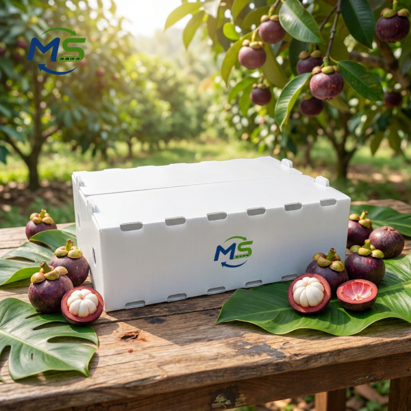 PP Corrugated Fruit & Veg Box (6) Breathable Food Grade PP Plastic Mango Turnover Box, Corrugated Plastic Crate for Fresh Fruit Farm Logistics