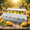 PP Corrugated Fruit & Veg Box (7) Breathable Food Grade PP Plastic Mango Turnover Box, Corrugated Plastic Crate for Fresh Fruit Farm Logistics