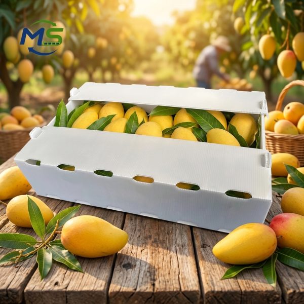 PP Corrugated Fruit & Veg Box (7) Breathable Food Grade PP Plastic Mango Turnover Box, Corrugated Plastic Crate for Fresh Fruit Farm Logistics